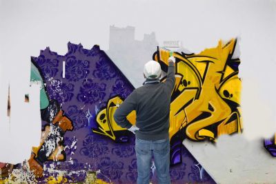 Bild Schimmel- und Grafittireinigung